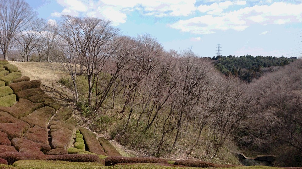 DSC_0085
