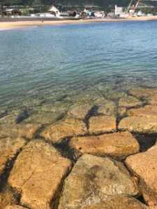 image11
