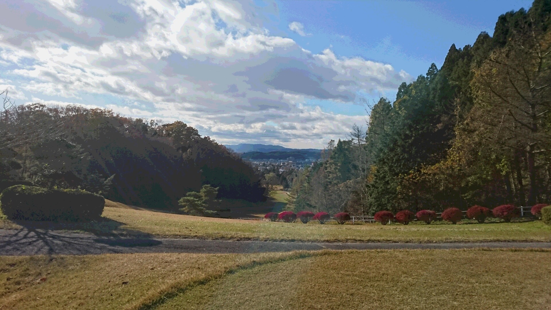 DSC_0336