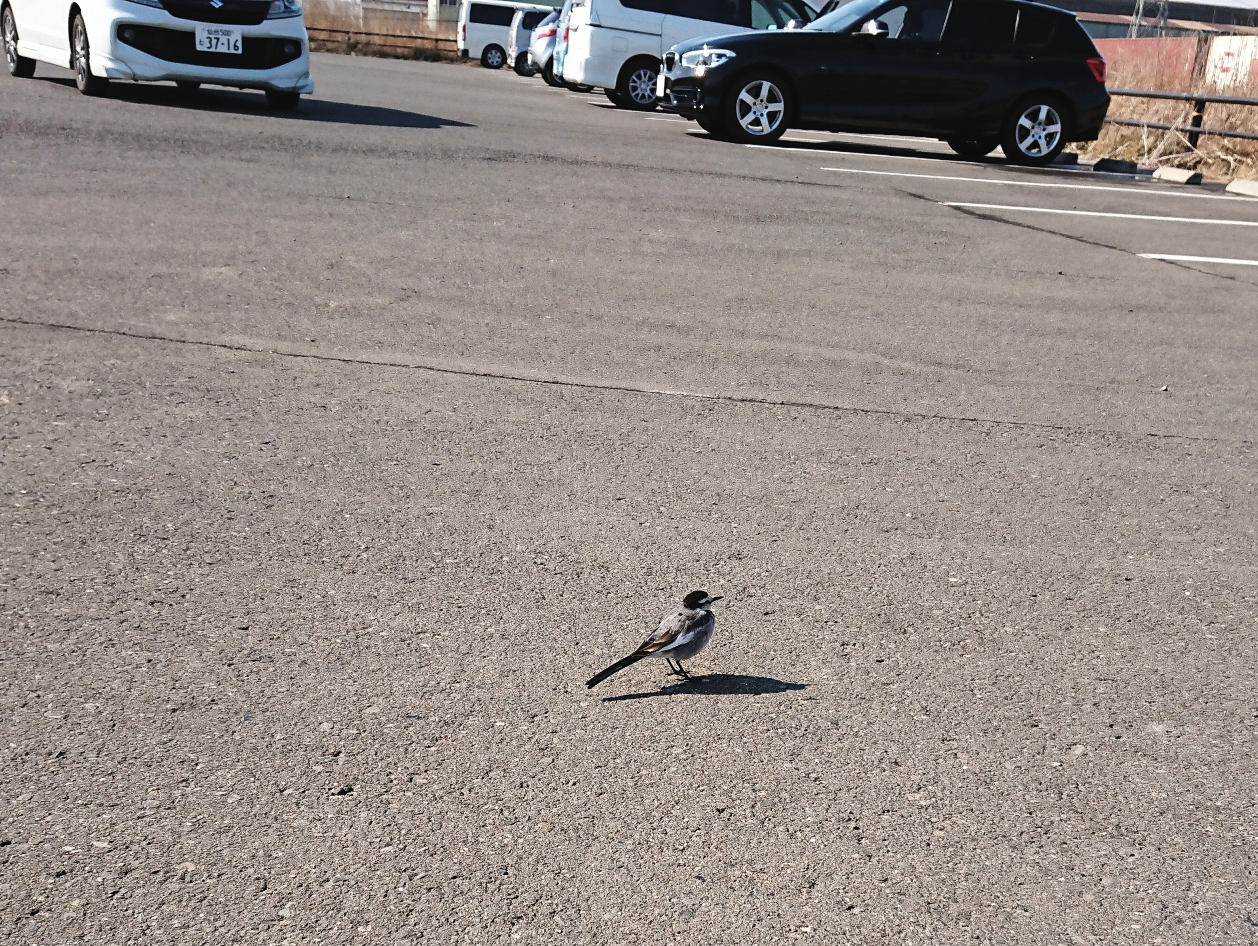 _20190227_165139