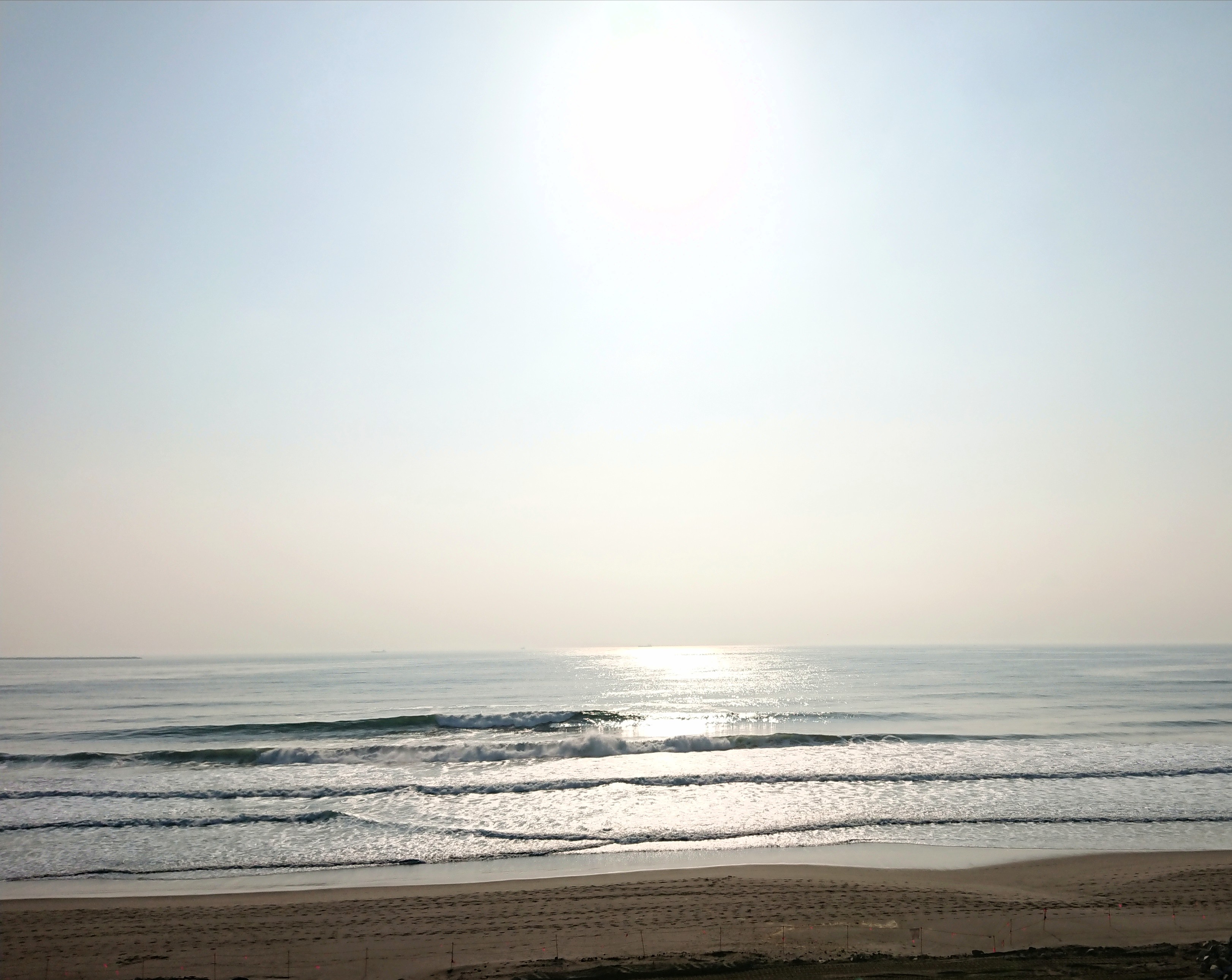 _20190306_114819