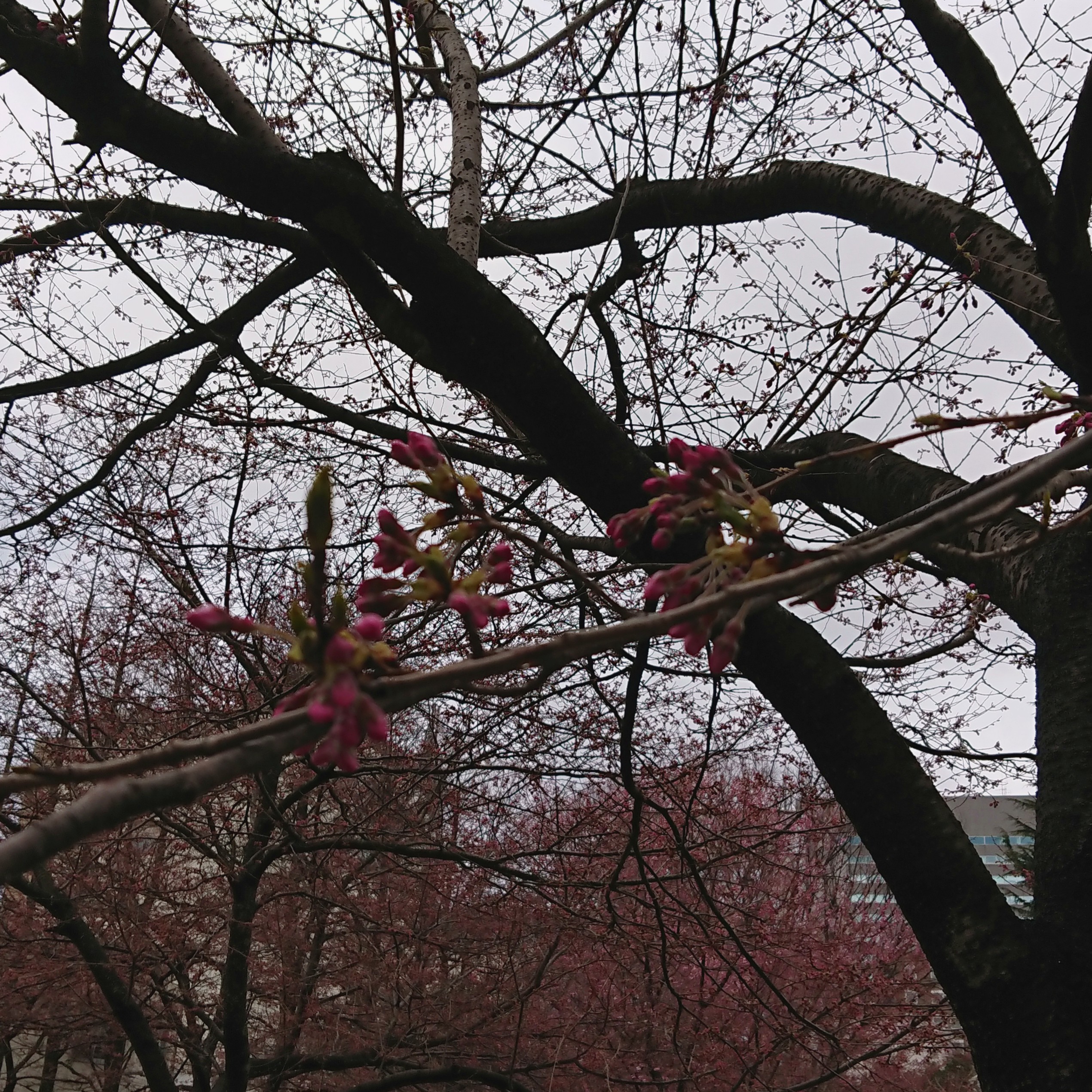 _20190401_100714