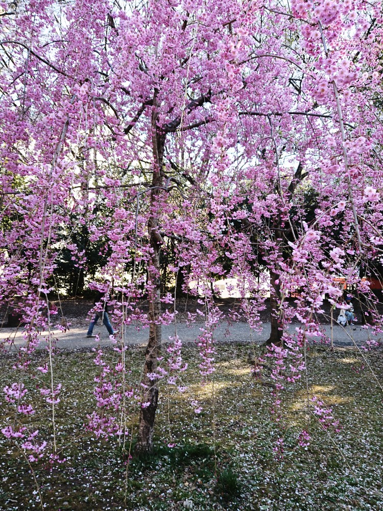 _20190417_131600