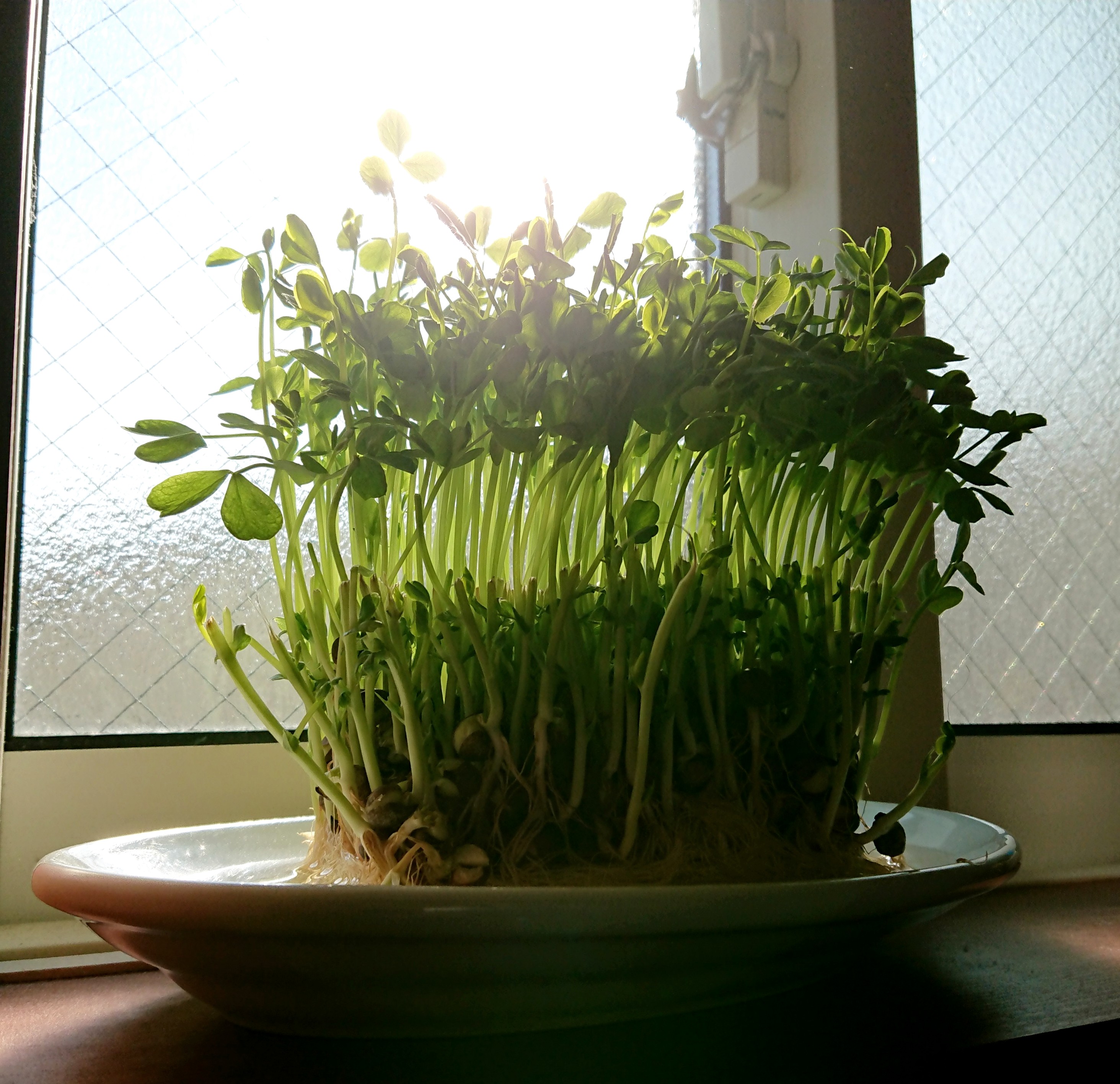 _20190418_163853