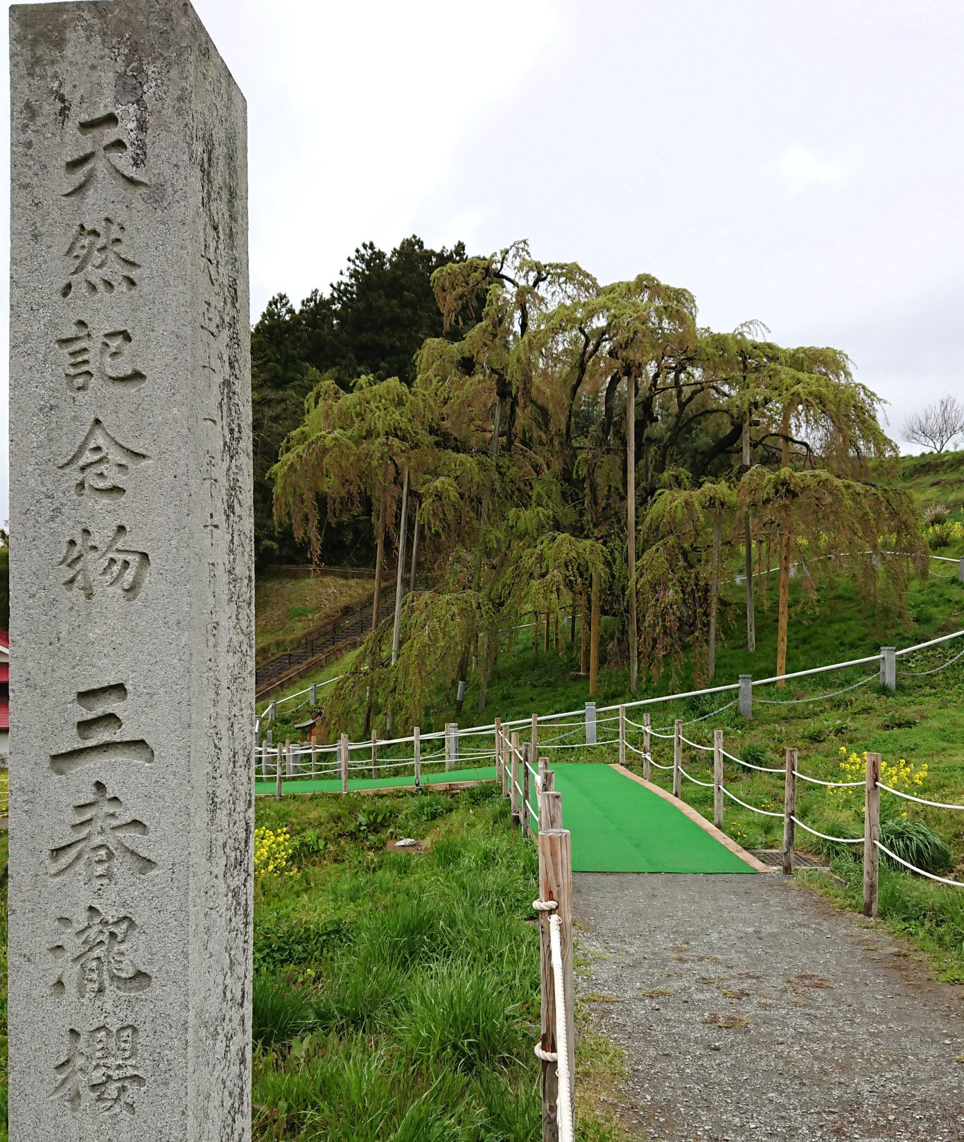 _20190501_104258